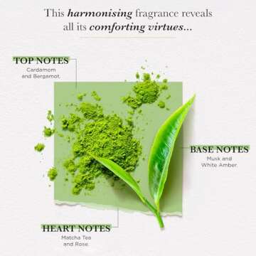 SOLINOTES Matcha Tea Perfume - Refreshing Unisex Scent