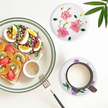 Drink Coasters with Real Floral Designs - Unique Kitchen Set