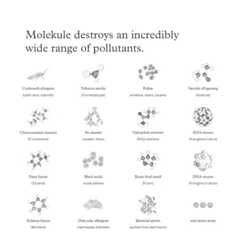 Molekule Air Pro PECO Filter Advanced Air Purifier Replacement