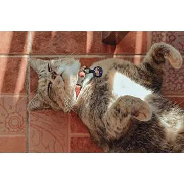 Besties "Nyan Cat" Customized Silicone Pet ID Name Tags for Collars - Silent and Jingle Free - Ships Fast from US- 18 Cute Funny Designs for Dogs and Cats - Personalized - Laser Engraved