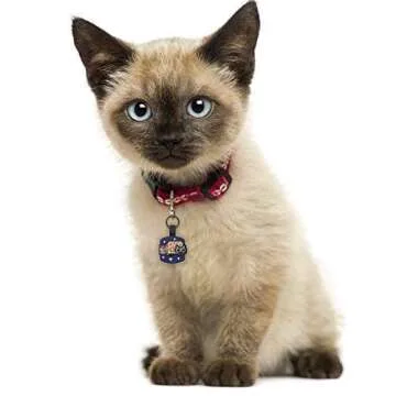 Besties "Nyan Cat" Customized Silicone Pet ID Name Tags for Collars - Silent and Jingle Free - Ships Fast from US- 18 Cute Funny Designs for Dogs and Cats - Personalized - Laser Engraved