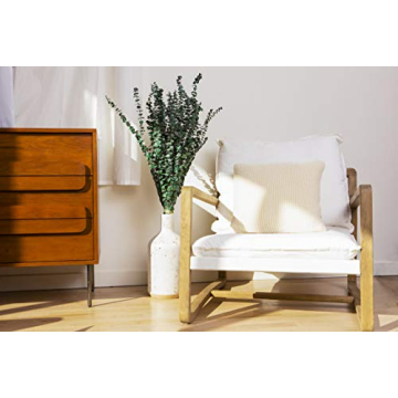 De La Terre Preserved Green Eucalyptus Large Bunch 1 LB