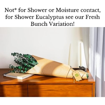 De La Terre Preserved Green Eucalyptus Large Bunch 1 LB