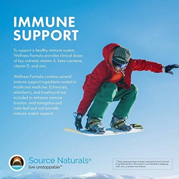 Wellness Formula Capsules - Immune Support Supplement