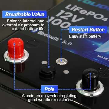 YOLIQUE 12V 100Ah Bluetooth LiFePO4 Lithium Battery Self-heating Low-Temp Protection, Built-in 100A BMS 4500~15000 Deep Cycles Battery for RV, Marine, Solar System, Trolling Motors, 1Pack