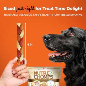 NutriChomps Dog Chews, 6-inch Braids, Easy to Digest, Rawhide-Free Dog Treats, Healthy, 10 Count, Real Chicken, Peanut Butter and Milk flavors