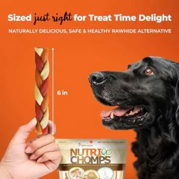 NutriChomps Dog Chews, 6-inch Braids, Easy to Digest, Rawhide-Free Dog Treats, Healthy, 10 Count, Real Chicken, Peanut Butter and Milk flavors