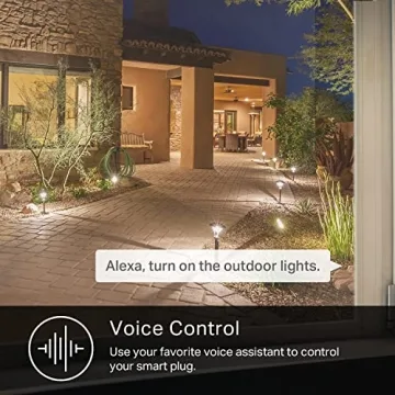 Kasa Outdoor Smart Plug with Dual Sockets and IP64 Protection
