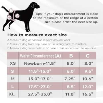 Paw Legend Washable Reusable Female Dog Period Diapers for Heat Doggie Puppy Diapers for Female Dogs (3 Pack,X-Small)