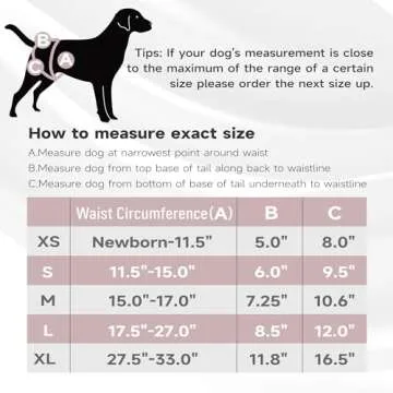 Paw Legend Washable Reusable Female Dog Period Diapers for Heat Doggie Puppy Diapers for Female Dogs (3 Pack,X-Small)