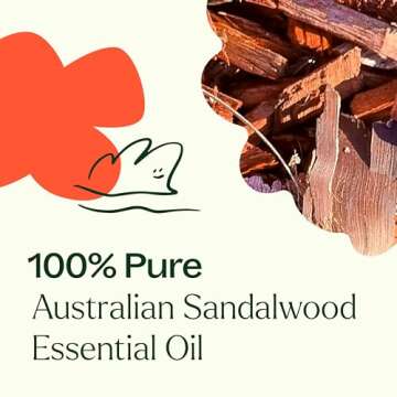 Plant Therapy Australian Sandalwood Essential Oil 100% Pure, Undiluted, Natural Aromatherapy for Diffusion and Body Care, Therapeutic Grade 5 mL (1/6 oz)