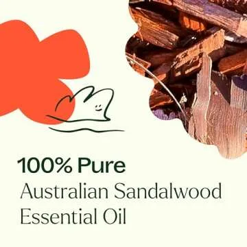 Plant Therapy Australian Sandalwood Essential Oil 100% Pure, Undiluted, Natural Aromatherapy for Diffusion and Body Care, Therapeutic Grade 5 mL (1/6 oz)