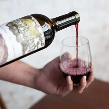 govino Go Anywhere Wine Glasses Set - Shatterproof & Dishwasher Safe