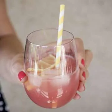 govino Go Anywhere Wine Glasses Set - Shatterproof & Dishwasher Safe