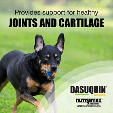 Dasuquin Joint Health Supplement for Large Dogs Soft Chews