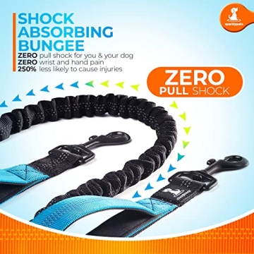 Sparkly Pets Hands-Free Dog Leash for Easy Walking and Hiking