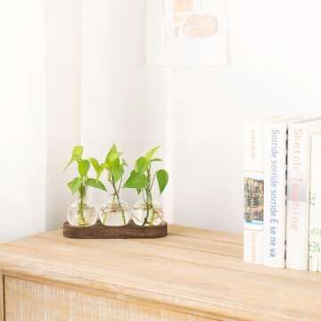 Mkono Desktop Plant Propagation Station Glass Planter Terrarium with Wooden Tray Bulb Flower Vase Pe...
