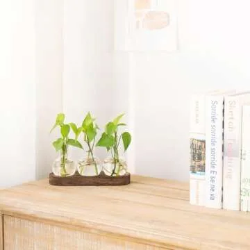 Mkono Desktop Plant Propagation Station Glass Planter Terrarium with Wooden Tray Bulb Flower Vase Pe...
