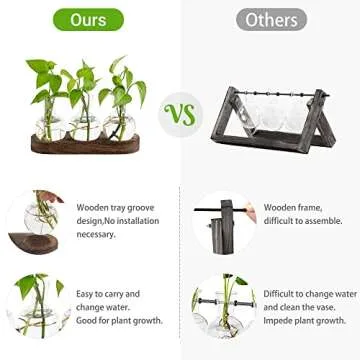 Mkono Desktop Plant Propagation Station Glass Planter Terrarium with Wooden Tray Bulb Flower Vase Perfect for Propagating Hydroponic Plants Home Office Decor Plant Lover Gift Idea
