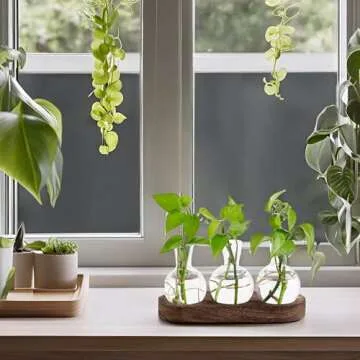 Mkono Desktop Plant Propagation Station Glass Planter Terrarium with Wooden Tray Bulb Flower Vase Perfect for Propagating Hydroponic Plants Home Office Decor Plant Lover Gift Idea