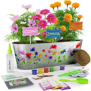 Dan Darci Paint Flower Growing Kit for Artistic Fun