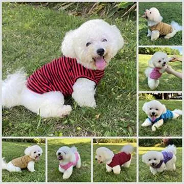 Levibasic Dog Shirts - Stylish & Comfortable T-Shirts