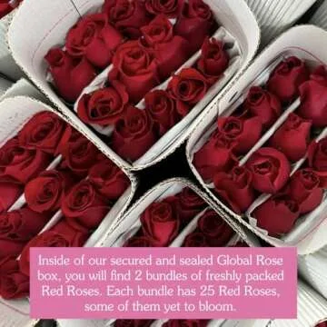 GlobalRose 50 Fresh Cut Red Roses Delivery Gift