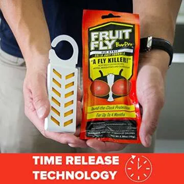 Effective Fruit Fly and Pest Control for Home