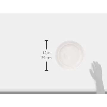 Stylish Kate Spade Blush Dinner Plates Set - Set of 4