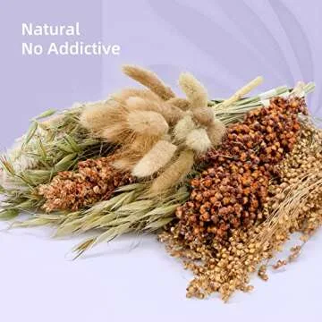 Niteangel Natural & Soft Hamster Bedding Mate Small Animal Habitat Decor for Syrian Dwarf Hamsters Gerbils Mice Degus Bunny or Other Small-Sized Pet (Natural Poem Version)