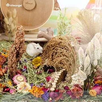 Niteangel Natural & Soft Hamster Bedding Mate Small Animal Habitat Decor for Syrian Dwarf Hamsters Gerbils Mice Degus Bunny or Other Small-Sized Pet (Natural Poem Version)