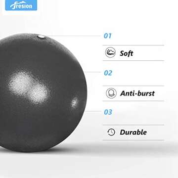 Fresion Small Exercise Ball Soft Yoga Balls,Mini Pilates Ball 25cm for Core Training Exercise,Durable