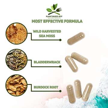 Wildcrafted Sea Moss Capsules for Immunity and Joint Health