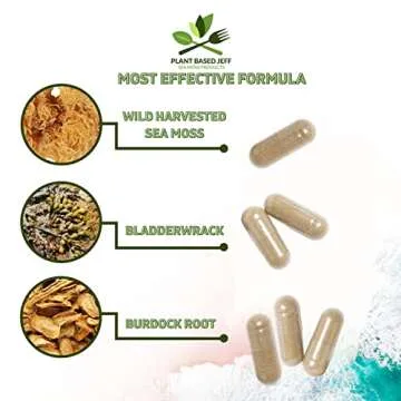 Wildcrafted Sea Moss Capsules for Immunity and Joint Health