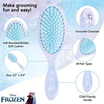 Frozen Princess Elsa 5 Pcs Hair Accessory Set for Girls