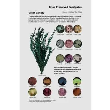 CalCastle Craft Natural Dried Preserved Eucalyptus Branches Large 30" Tall Bulk 1 LB / 8 OZ (Frosted Green - 8 oz)