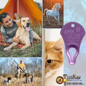 The Original Tick Key - Tick Detaching Device - Portable, Safe and Highly Effective Tick Detaching Tool (Magenta)