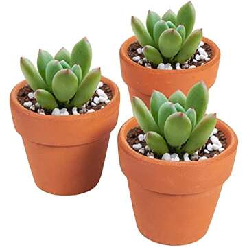 Juvale 10-Pack Mini Terracotta Pots with Drainage Holes