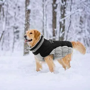 Lelepet Winter Dog Coat for All Breeds - Fleece & Reflective