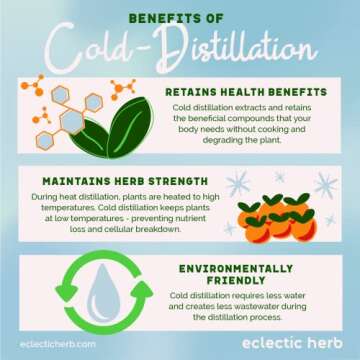 Eclectic Institute Kids Herbs Lemon Balm, Lemon Flavor | Calming and Nervous System Support | 1 fl oz (30 ml)