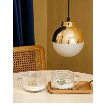 Amzcku Vintage Coffee Tea Cups, Glass Mugs with Spoon and Coasters 14 Oz Set of 2 Embossed Glassware with Handle, for Cappuccino, Latte, Cereal, Yogurt, Beverage Hot/Cold, Milk