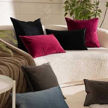JUSPURBET Decorative Velvet Pillow Covers Set of 2