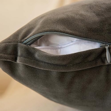 JUSPURBET Decorative Velvet Pillow Covers Set of 2