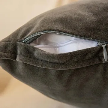 JUSPURBET Decorative Velvet Pillow Covers Set of 2