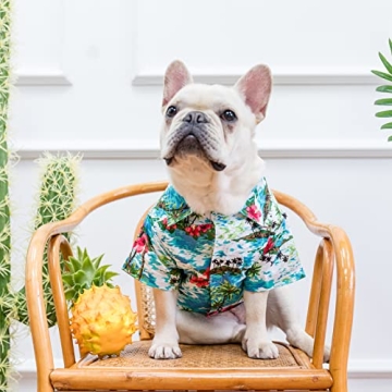 EXPAWLORER Hawaiian Dog Shirt - Stylish Summer Wear for Pets