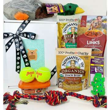 Deluxe Dog Gift Basket with Grain Free Treats and Toys