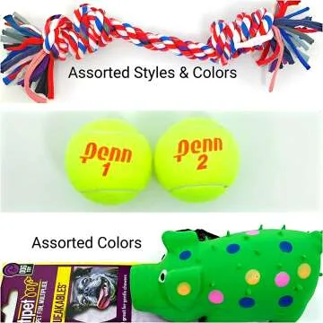 Deluxe Dog Gift Basket with Grain Free Treats and Toys
