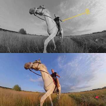 Insta360 70cm/27.56in Invisible Selfie Stick for GO 3 X3 ONE RS ONE X2