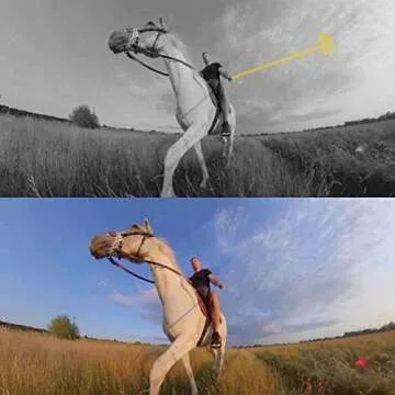 Insta360 70cm/27.56in Invisible Selfie Stick for GO 3 X3 ONE RS ONE X2