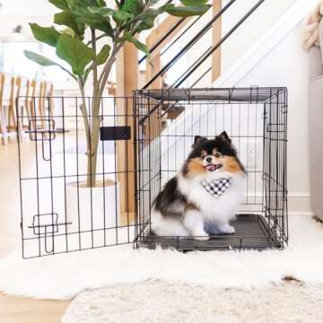 Carlson Pet Products SECURE AND FOLDABLE Single Door Metal Dog Crate, Small, 24.0"L x 18.0"W x 19.0"H